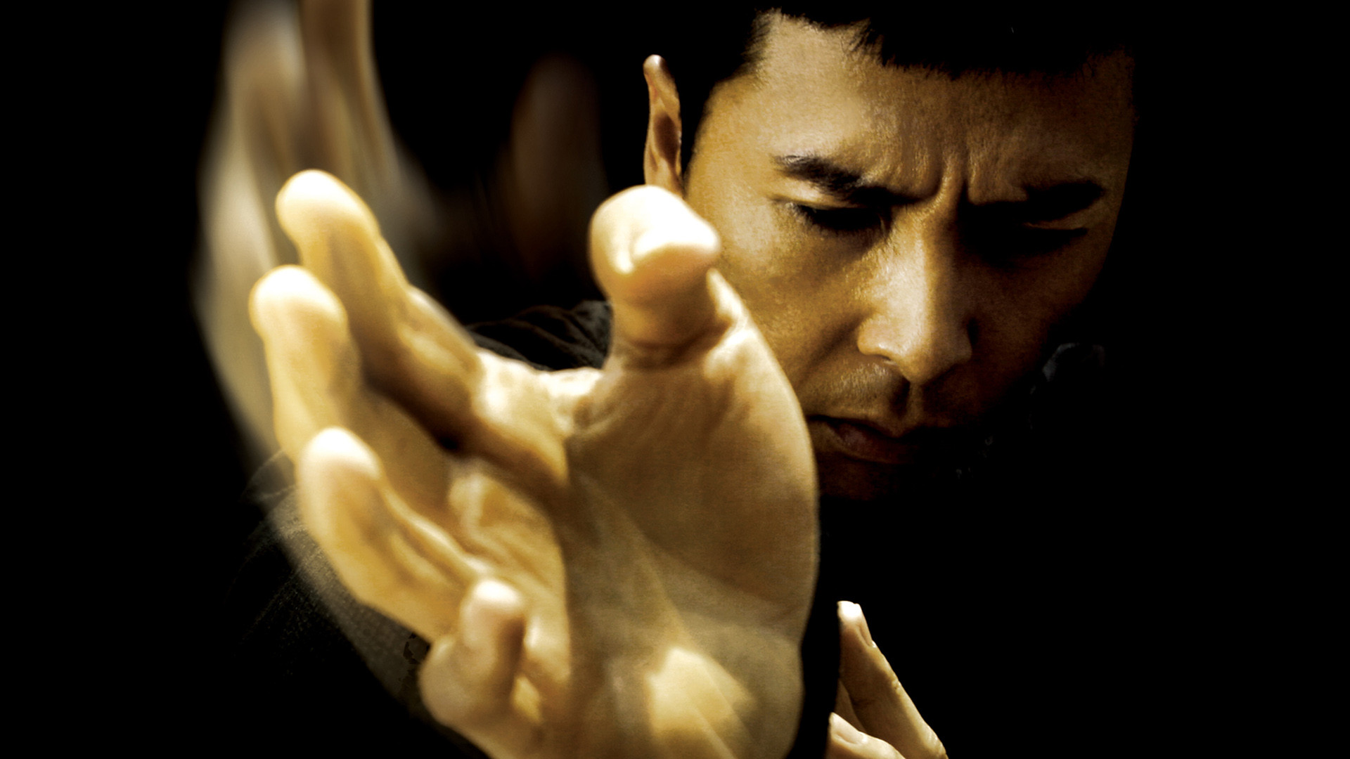 Ip Man with Donnie Yen