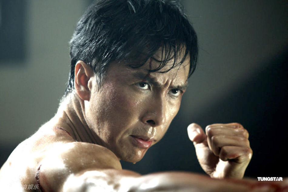 Donnie Yen | Martial Arts Action Movies! Martial Arts, Movies, DVD's ...