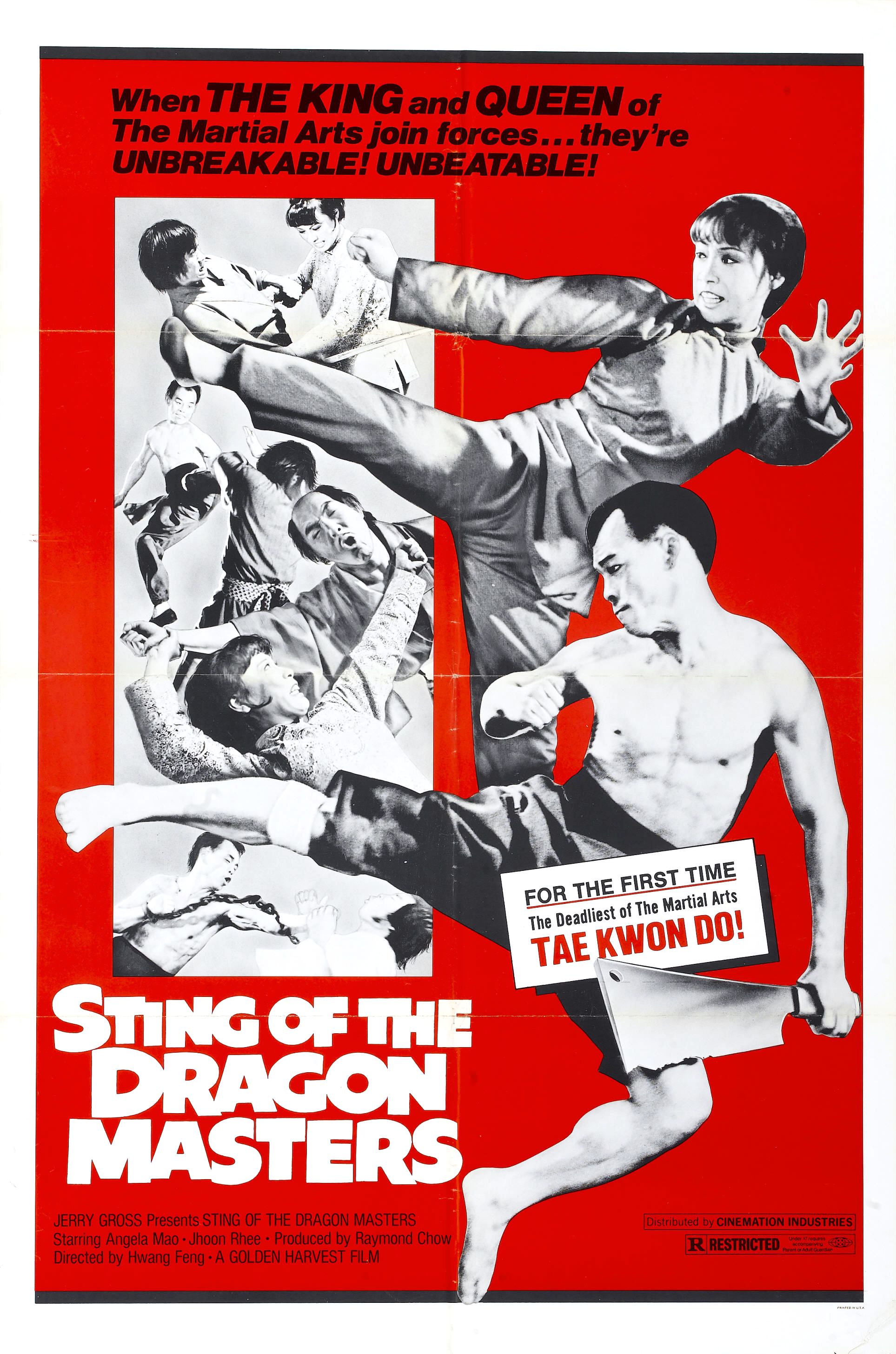 Sting of the Dragon Masters (aka When Taekwondo Strikes)