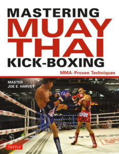 mastering muay thai kickboxing